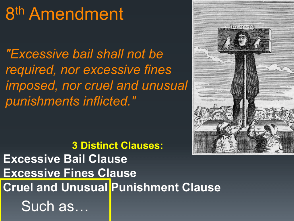 8th amendment examples