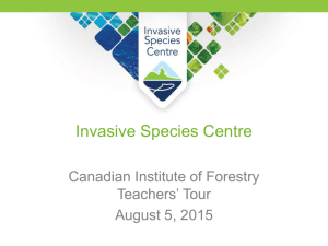 Presentation - Canadian Institute of Forestry