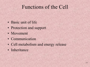 Unit #3 - The Cell