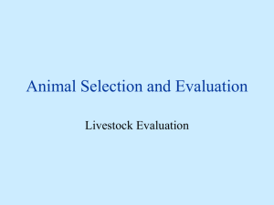 Animal Selection and Evaluation