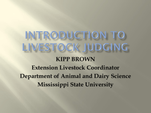 Introduction to Livestock Judging - Mississippi State University