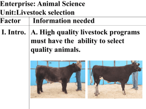 Livestock selection