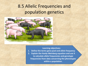 Year 13 Population genetics