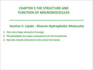 CH5 Lipids - mcdowellscience