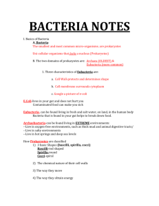 bacteria notes