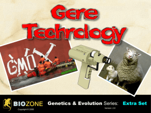 Gene Technology - missdannocksyear11biologyclass