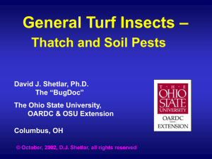 Turf III - soil-inhabiting pests