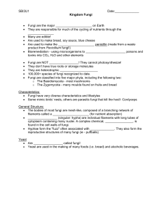 3U SN kingdom Fungi student note handout