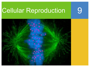 Cellular Reproduction