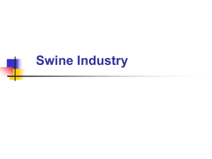 Swine Industry