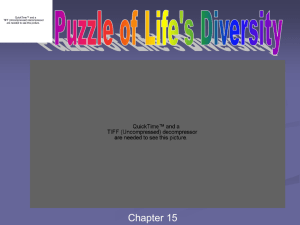 Puzzle of Life's Diversity - the Bee