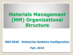 3. MM Organizational Structure