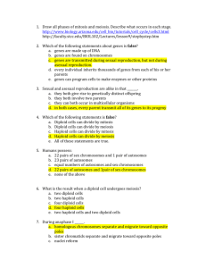 Answers to genetics review
