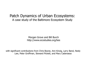 Grove_Patch Dynamics of Urban Ecosystems