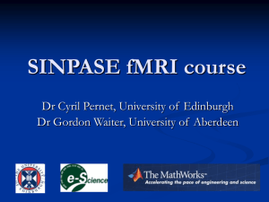 SINPASE fMRI course