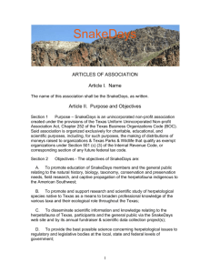 articles of association
