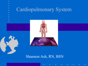 Cardiopulmonary System