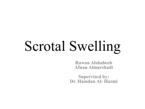 Scrotal Swelling