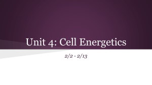 Unit 3: Cells