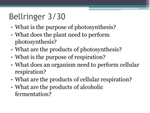 Why do cells need food? (Cellular Respiration)