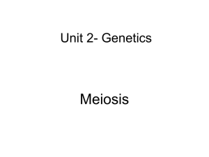 3a. Meiosis-TEA - KCI-SBI3U-Pham2014