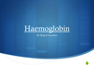 Haemoglobin - TASIS IB Biology