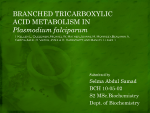 Branched TriCarboxylic Acid Metabolism in Plasmodium falciparum
