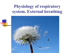 32 Physiology of respiratory system. External breathing