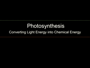 Full Photosynthesis Powerpoint