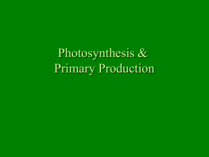 Photosynthesis & Primary Production
