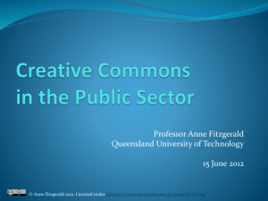 Professor Anne Fitzgerald – CC in the Public Sector