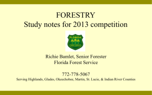 Tips for success in Forestry