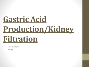 Gastric Acid Production/Kidney Filtration
