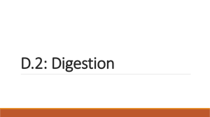 D.2: Digestion - SP New Moodle