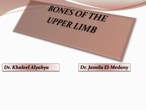Lecture 2 - Bones of upper limb