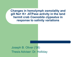Changes in hemolymph osmolality and gill Na+ K+