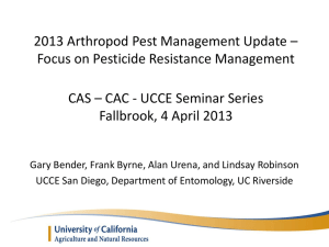 Avocado Thrips and Persea Mite Management