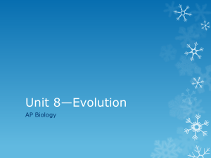 Unit 9*Evolution
