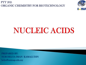 nucleic acids - UniMAP Portal