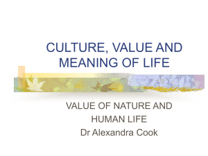 Culture, Value and Meaning of Life