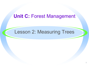 MeasuringTrees-English