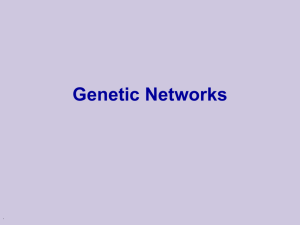 Gene Networks