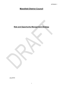 Appendix 1 - Draft Risk and Opportunity