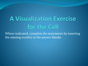 A Visualization Exercise for the Cell