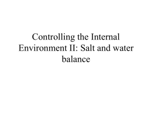 Lecture 12 - Homeostasis II: Salt and water balance