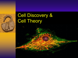 PowerPoint Notes Cell Discovery & Cell Theory