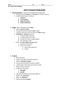 0. Unit 3 Enzymes Study Guide