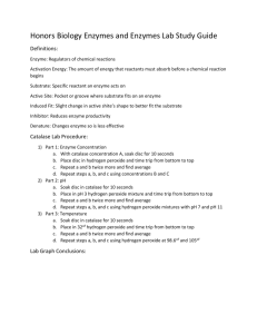 Honors Biology Enzymes and Enzymes Lab Study Guide