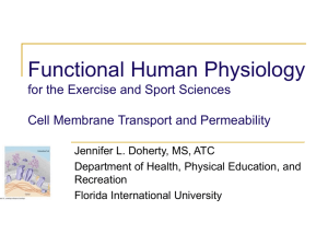 Functional Human Anatomy for the Exercise and Sport Sciences