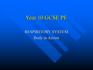 the respiritory system - Watford Grammar School for Boys Intranet